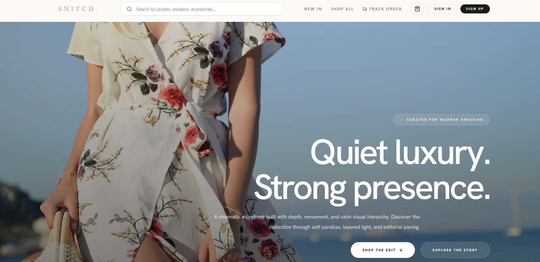 Snitch storefront home page